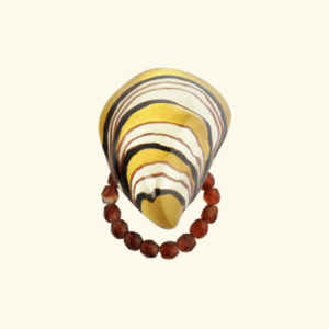 Ring Ocean  R6692s