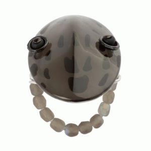 Ring MonAmour R6814s